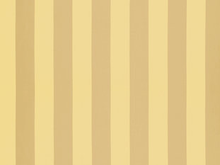 Solice Stripe Fabric by Zimmer & Rohde 
