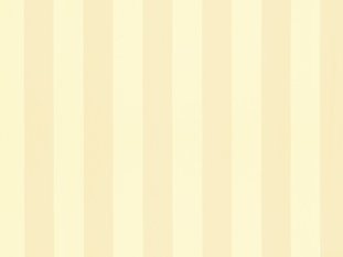 Solice Stripe Fabric by Zimmer & Rohde 