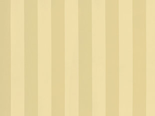 Solice Stripe Fabric by Zimmer & Rohde 