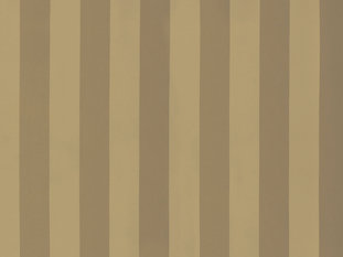 Solice Stripe Fabric by Zimmer & Rohde 