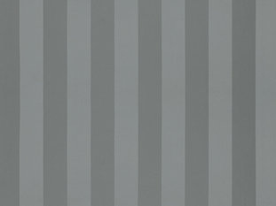 Solice Stripe Fabric by Zimmer & Rohde 