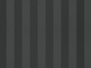 Solice Stripe Fabric by Zimmer & Rohde 