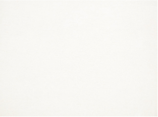 Bagheera Moonbeam Fabric By Zinc Textile