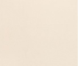 Benjamin Stone Fabric By Zinc Textile