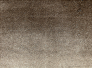 Blue Fox Fabric By Zinc Textile