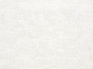 Bruce Blizzard Fabric By Zinc Textile