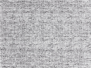 Bruce Dalmatian By Zinc Textile