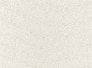 Buster Chalk Fabric By Zinc Textile