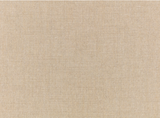 Carallio Linen Fabric By Zinc Textile