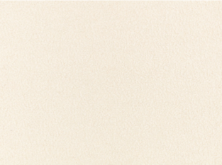 Frisé Canvas Fabric By Zinc Textile