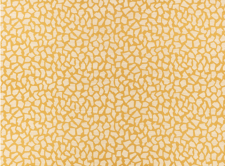 Golconda Ochre Fabric By Zinc Textile