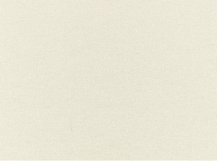 Lucien Bone Fabric By Zinc Textile